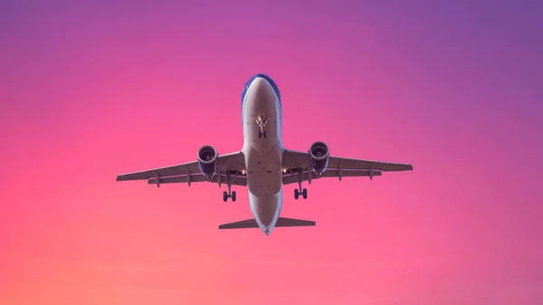 Landing Airplane Pastel Colored Sky Background Sunset Sky Pink Blue — Stock Photo, Image