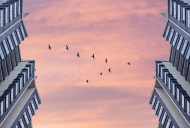 Pastel renklerde bir günbatımı gökyüzü arka plan karşı birbirlerinin karşısında iki simetrik yüksek binalar üzerinde alt görünümü. Metin için alan