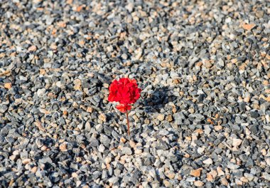 Sahilde kırmızı kalp