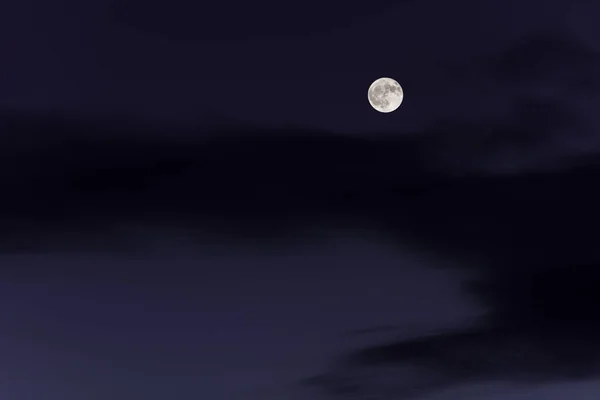 Bulan Purnama Besar Langit Malam — Stok Foto