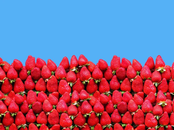 Viele Reife Erdbeeren Mit Platz Für Text Hintergrund Das Konzept — Stockfoto