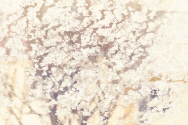 Arabanın ön camında erimiş buz lanma deseni. Kış konsepti