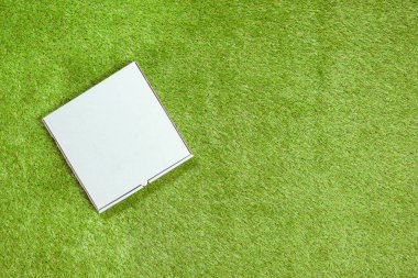 Çimenlerin üzerinde beyaz kapalı bir kağıt kutu pizza. Kavram. Üst te. Kopyalama alanı