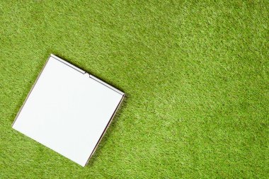 Çimenlerin üzerinde beyaz kapalı bir kağıt kutu pizza. Kavram. Üst te. Kopyalama alanı