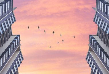 Pastel renklerde bir günbatımı gökyüzü arka plan karşı birbirlerinin karşısında iki simetrik yüksek binalar üzerinde alt görünümü. Metin için alan