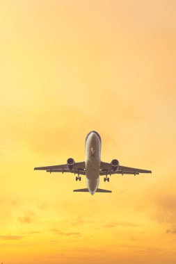 Pastel renkli gökyüzü arka plan üzerinde iniş uçağı. Pembe ve mavi renklerde gün batımı gökyüzü 