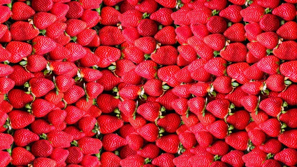 Viele Reife Erdbeeren Vollformat Das Konzept Der Gesunden Ernährung — Stockfoto