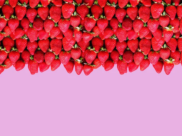 Πολλές Ώριμες Φράουλες Χώρο Για Κείμενο Μια Λιλά Φόντο Έννοια — Φωτογραφία Αρχείου