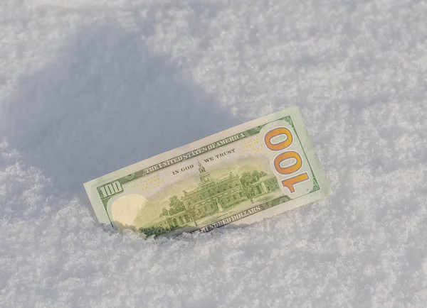 money bill in the snow  background