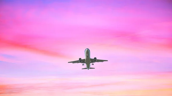 Landing Airplane Pastel Colored Sky Background Sunset Sky Pink Blue — Stock Photo, Image