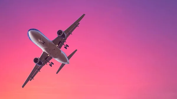 Landing Airplane Pastel Colored Sky Background Sunset Sky Pink Blue — Stock Photo, Image