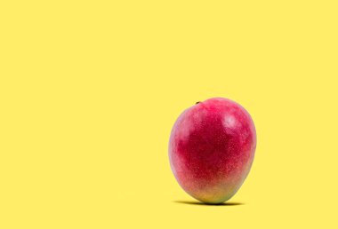 Sarı bir arka plan üzerinde Pimsean çeşitli büyük bir mango meyve. Yaratıcı fotoğraf