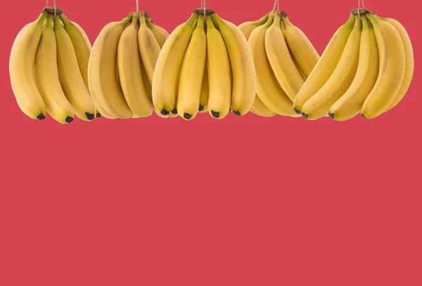 Dużo Dojrzałych Bananów Pęczek Miejscem Tekst Czerwonym Tle Koncepcja Zdrowej — Zdjęcie stockowe