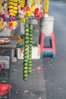 Sokakta renkli çiçekler..