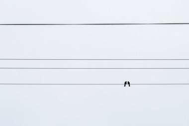 metin için kopyalama alanı olan beyaz arkaplan