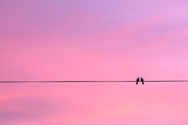 Tel üzerinde iki kuş ya da günbatımında gökyüzü arka planında elektrik hattı. Çok az. Aile Kavramı