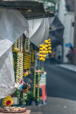 Malezya 'dan seyahat, seyahat kavramı