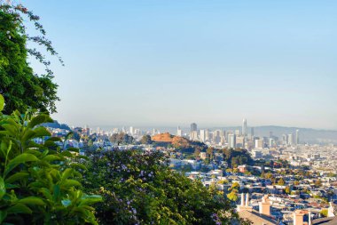 Önplanda yeşil çalı olan şehir manzarası 