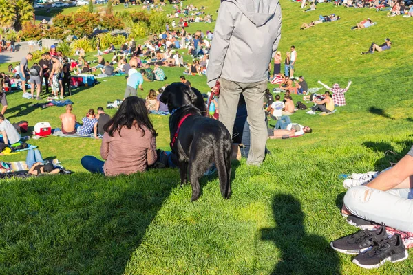 San Francisco Usa Maggio 2018 Visitatori Del Dolores Park Sullo — Foto Stock