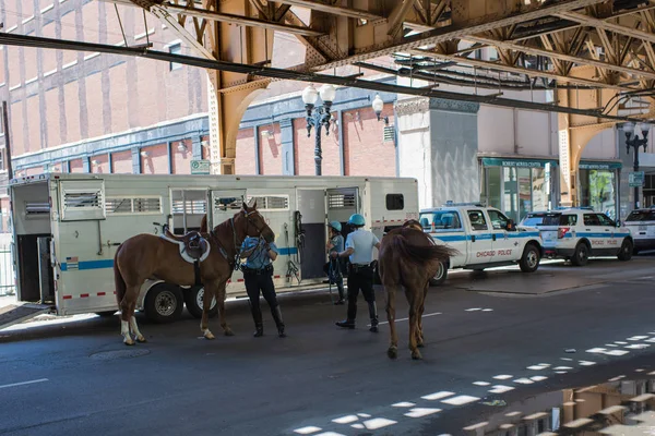 Chicago Illinois Mayo 2018 Policía Chicago Caballo Memorial Day Calle — Foto de Stock