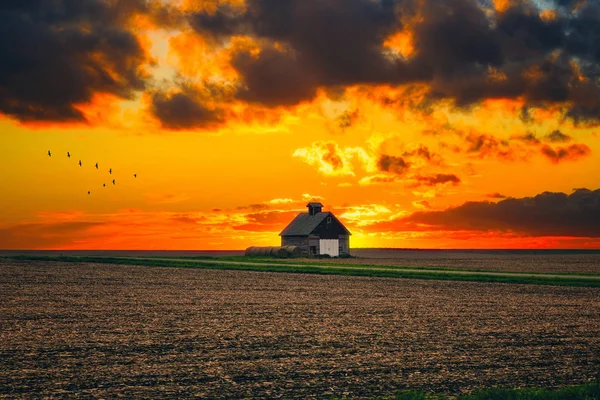 One Rural Barn Middle Field Landscape Sunset Stormy Sky Background — Stock Photo, Image