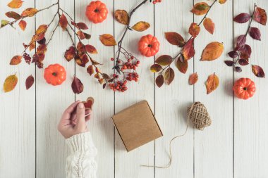 Beyaz tahta üzerinde bir kutu Kraft kağıdının içinde hediye paketleyen bir kadın. Yapraklar, Rowan ve küçük balkabakları. Şükran Günü. Sonbahar, sonbahar konsepti. Düz yatış, üst görünüm. 