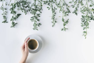 Dal dallarında bir fincan kahve ve beyaz bir masada yeşil yapraklı kadın elleri. Kahve sanatı. Düz yatış, üst görünüm.