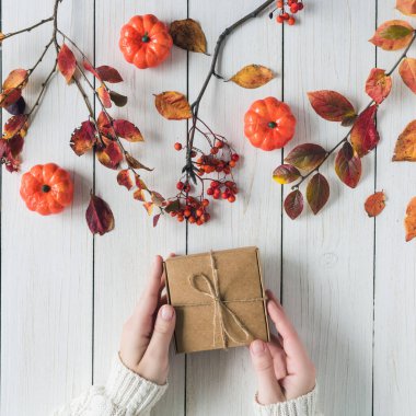 Beyaz tahta üzerinde bir kutu Kraft kağıdının içinde hediye paketleyen bir kadın. Yapraklar, Rowan ve küçük balkabakları. Şükran Günü. Sonbahar, sonbahar konsepti. Düz yatış, üst görünüm. 