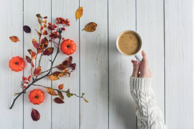 Elinde bir fincan kahve, yapraklar, küçük balkabakları ve beyaz tahta üzerinde rowan olan bir kadın. Geçmişi. Sonbahar, sonbahar konsepti. Düz yatış, üst görünüm.