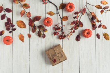 Beyaz tahta üzerinde bir kutu Kraft kağıdının içinde hediye paketleyen bir kadın. Yapraklar, Rowan ve küçük balkabakları. Şükran Günü. Sonbahar, sonbahar konsepti. Düz yatış, üst görünüm. 