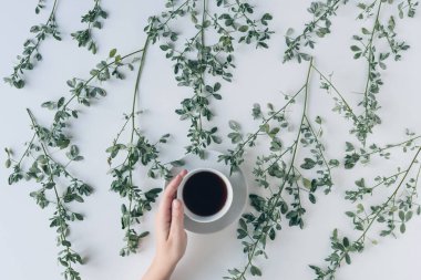 Beyaz bir masada yeşil yapraklı dallarda bir fincan bitki çayıyla kadın elleri. Çay sanatı. Düz yatış, üst görünüm.