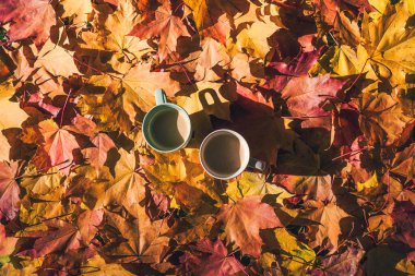 Sonbahar ormanında akçaağaç yapraklarıyla yerde duran iki fincan kahve. Hava görünümü