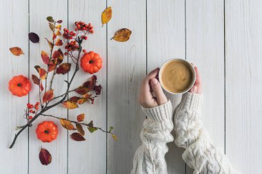 Elinde bir fincan kahve, yapraklar, küçük balkabakları ve beyaz tahta üzerinde rowan olan bir kadın. Geçmişi. Sonbahar, sonbahar konsepti. Düz yatış, üst görünüm.
