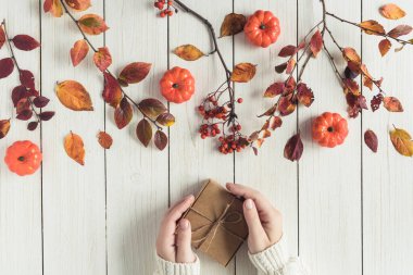 Beyaz tahta üzerinde bir kutu Kraft kağıdının içinde hediye paketleyen bir kadın. Yapraklar, Rowan ve küçük balkabakları. Şükran Günü. Sonbahar, sonbahar konsepti. Düz yatış, üst görünüm. 