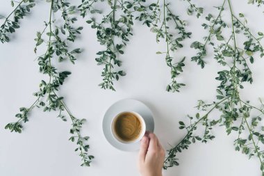 Dal dallarında bir fincan kahve ve beyaz bir masada yeşil yapraklı kadın elleri. Kahve sanatı. Düz yatış, üst görünüm.