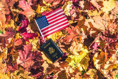 Amerikan bayrağı ve pasaportu sonbahar ormanındaki akçaağaç yapraklarının üzerinde sabah şafağında duruyordu. Kavram. Üst Manzara. Hint Yazı.