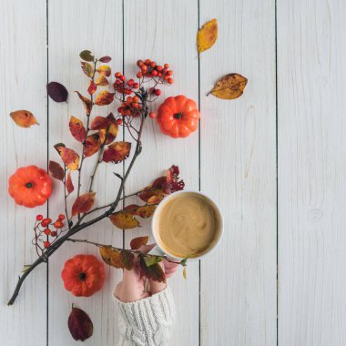 Elinde bir fincan kahve, yapraklar, rowan ve beyaz tahta üzerinde küçük balkabakları olan bir kadın. Geçmişi. Sonbahar, sonbahar konsepti. Düz yerde, üst tarafta. Instagram biçimi