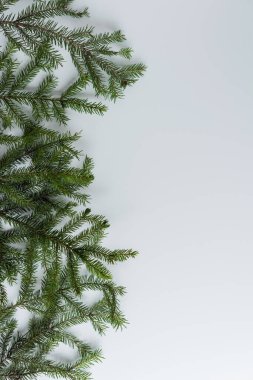 Beyaz bir masada dallar. Noel ve Yeni Yıl konsepti. Kahve sanatı. Düz yerde, üst tarafta. Dikey