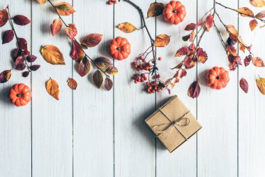 Beyaz tahta üzerinde bir kutu Kraft kağıdının içinde hediye paketleyen bir kadın. Yapraklar, Rowan ve küçük balkabakları. Şükran Günü. Sonbahar, sonbahar konsepti. Düz yatış, üst görünüm. 