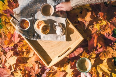 Sonbahar bahçesinde renkli akçaağaç yapraklarıyla sabah kahvaltısı yapan bir çift adam ve kadın. Bir fincan kahve, marşmelov reçeli ve tahta tepside peynirli krep. Hava görünümü