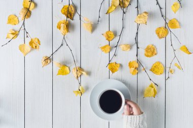 Ağaç dallarında bir fincan kahve ve beyaz tahta üzerinde sarı yapraklar olan bir kadın. Geçmişi. Sonbahar, sonbahar konsepti. Düz yerde, üst tarafta. Kahve sanatı
