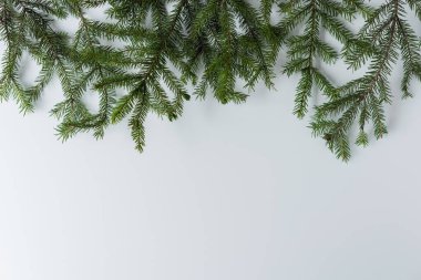 Beyaz bir masada dallar. Noel ve Yeni Yıl konsepti. Kahve sanatı. Düz yatış, üst görünüm. 