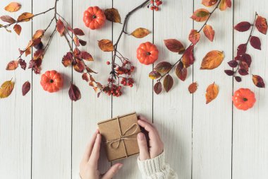 Beyaz tahta üzerinde bir kutu Kraft kağıdının içinde hediye paketleyen bir kadın. Yapraklar, Rowan ve küçük balkabakları. Şükran Günü. Sonbahar, sonbahar konsepti. Düz yatış, üst görünüm. 