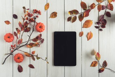 Yapraklı tablet, beyaz tahta üzerinde küçük balkabağı ve rowan. Geçmişi. Sonbahar, sonbahar konsepti. Düz yerde, üst tarafta. Instagram biçimi