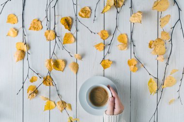 Ağaç dallarında bir fincan kahve ve beyaz tahta üzerinde sarı yapraklar olan bir kadın. Geçmişi. Sonbahar, sonbahar konsepti. Düz yerde, üst tarafta. Kahve sanatı