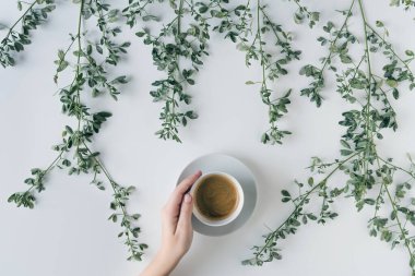 Dal dallarında bir fincan kahve ve beyaz bir masada yeşil yapraklı kadın elleri. Kahve sanatı. Düz yatış, üst görünüm.