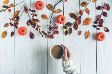 Elinde bir fincan kahve, yapraklar, küçük balkabakları ve beyaz tahta üzerinde rowan olan bir kadın. Geçmişi. Sonbahar, sonbahar konsepti. Düz yatış, üst görünüm.