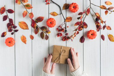Beyaz tahta üzerinde bir kutu Kraft kağıdının içinde hediye paketleyen bir kadın. Yapraklar, Rowan ve küçük balkabakları. Şükran Günü. Sonbahar, sonbahar konsepti. Düz yatış, üst görünüm. 