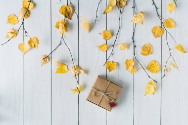 Beyaz tahta üzerinde bir kutu Kraft kağıdının içinde hediye paketleyen bir kadın. Yapraklar, huş dalları. Şükran Günü. Sonbahar, sonbahar konsepti. Düz yatış, üst görünüm. 