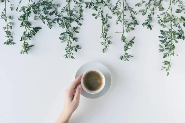 Female hands with a cup of coffee in branches with green leaves on a white table. Cofee art. Flat lay, top view.